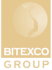 Bitexco Group